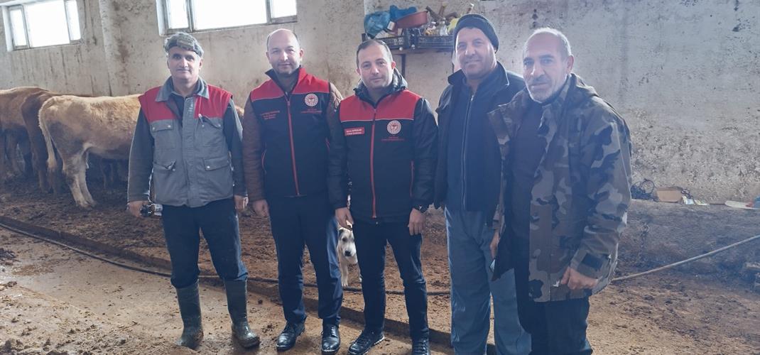 İLİMİZDE ŞAP AŞILAMA PROGRAMI BAŞLADI