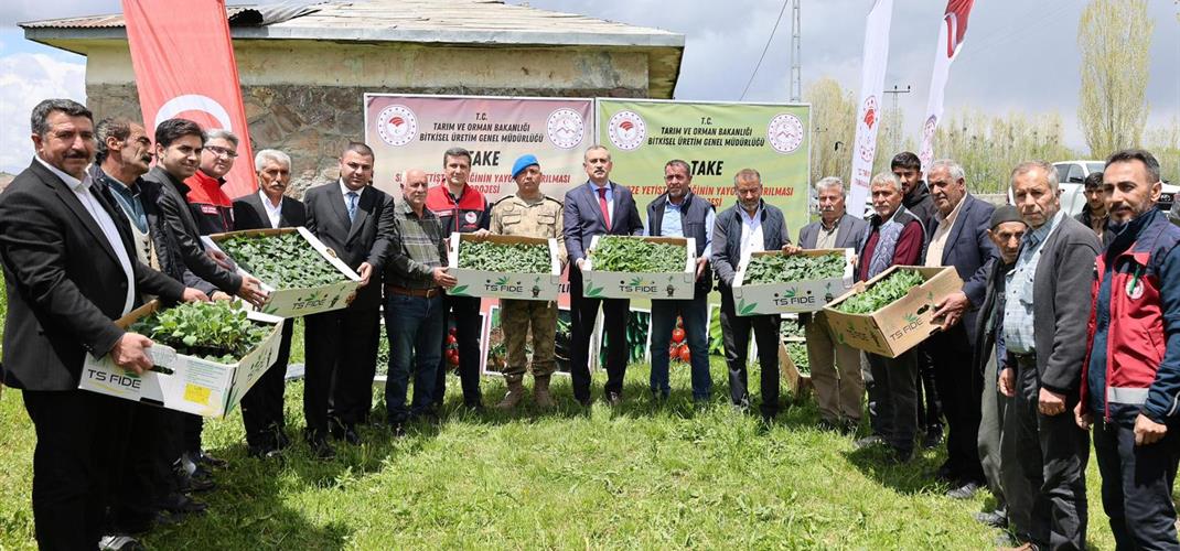 SEBZE YETİŞTİRİCİLİĞİNİN YAYGINLAŞTIRILMASI PROJESİ KAPSAMINDA FİDE DAĞITIMI GERÇEKLEŞTİRİLDİ