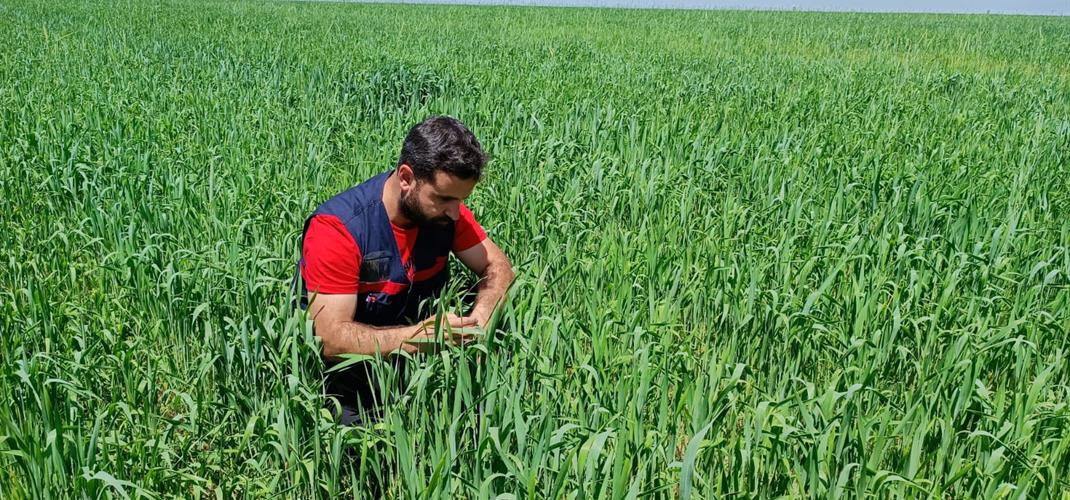 SÜNE SÜRVEY ÇALIŞMALARI TUTAK İLÇEMİZDE DEVAM EDİYOR