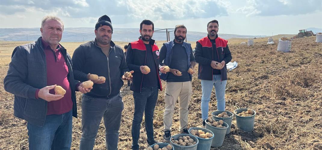 PATNOS İLÇEMİZDE PATATES HASAT KONTROLLERİ DEVAM EDİYOR